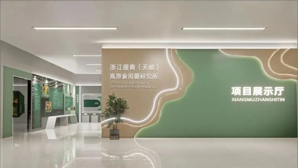 鄉(xiāng)村振興展示館設(shè)計(jì)